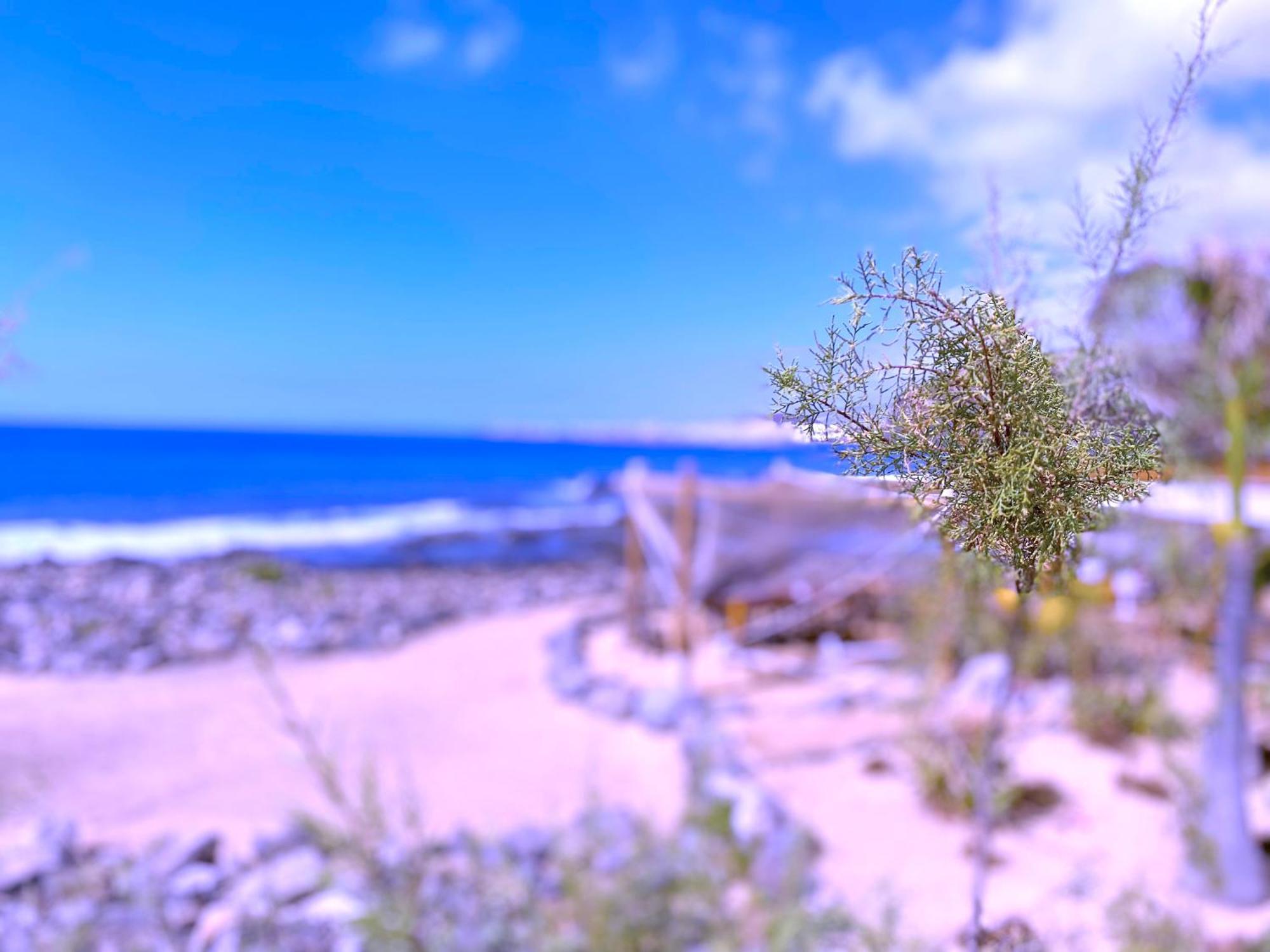 Tropicalidays Las Olas Palm-mar Luaran gambar